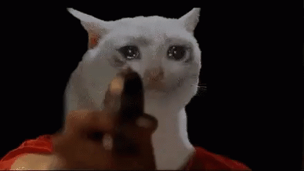 691a2c72aaa39a67d1e0a09a4b0b19c4_6513414626920014809.gif