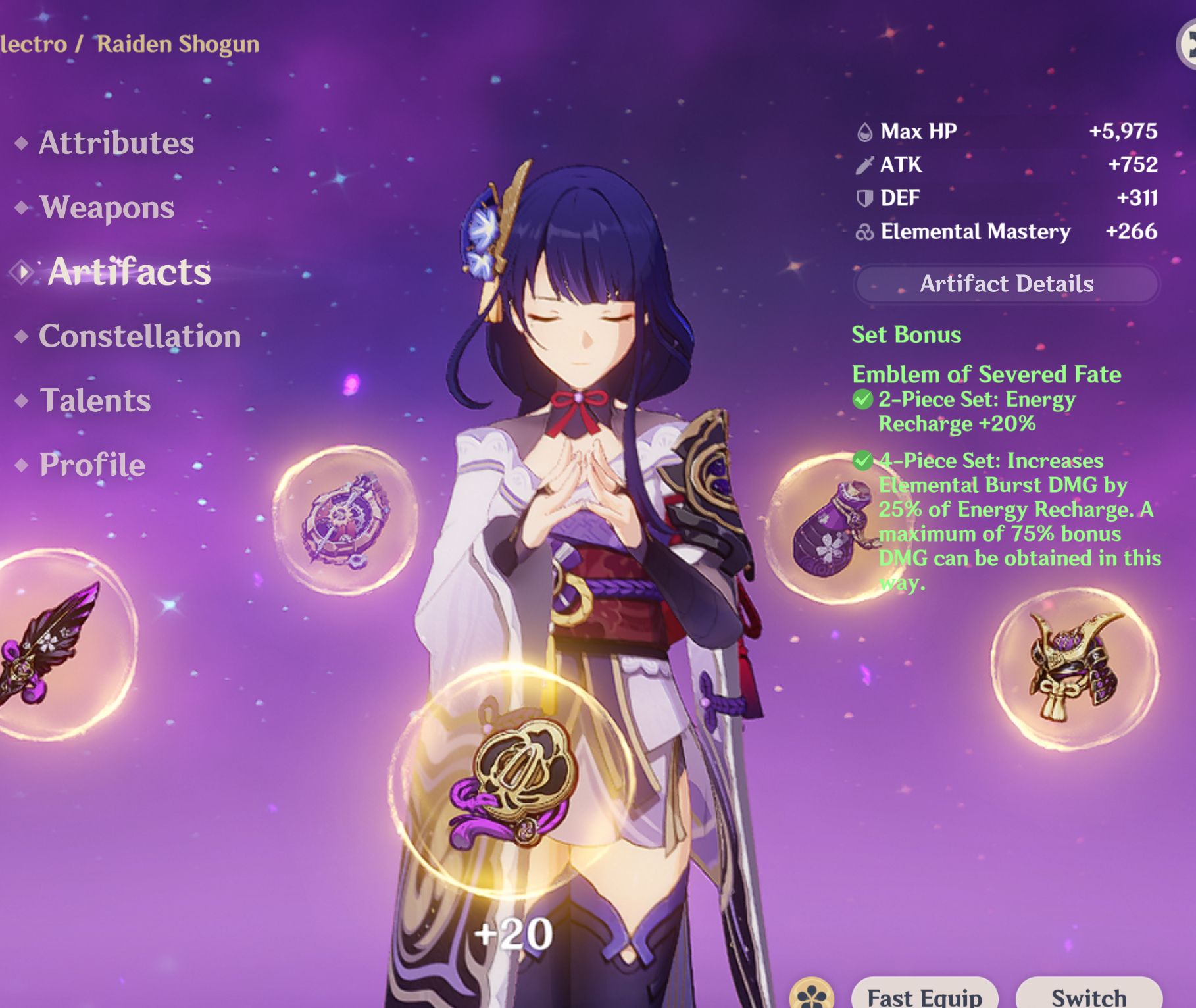 Why does my Raiden do such low dmg? (im still a new player just farm