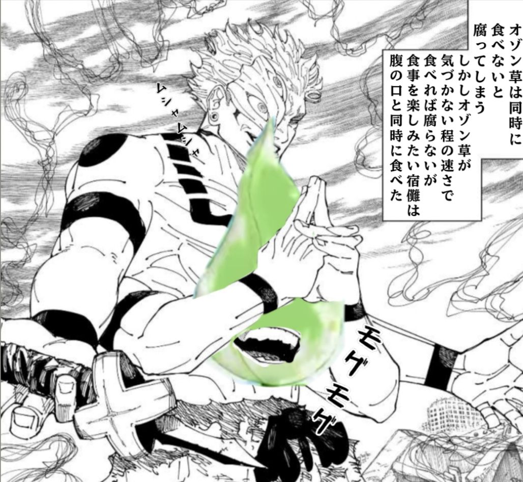 宿儺さんのフルコース・サラダ | HoYoLAB