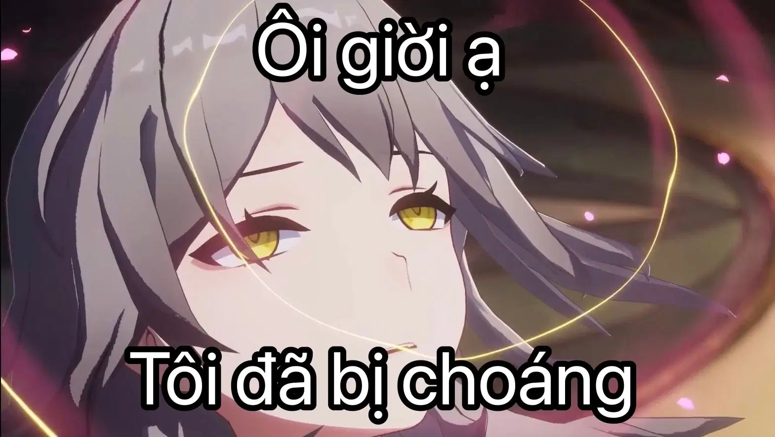 meme-honkai-star-rail-hoyolab