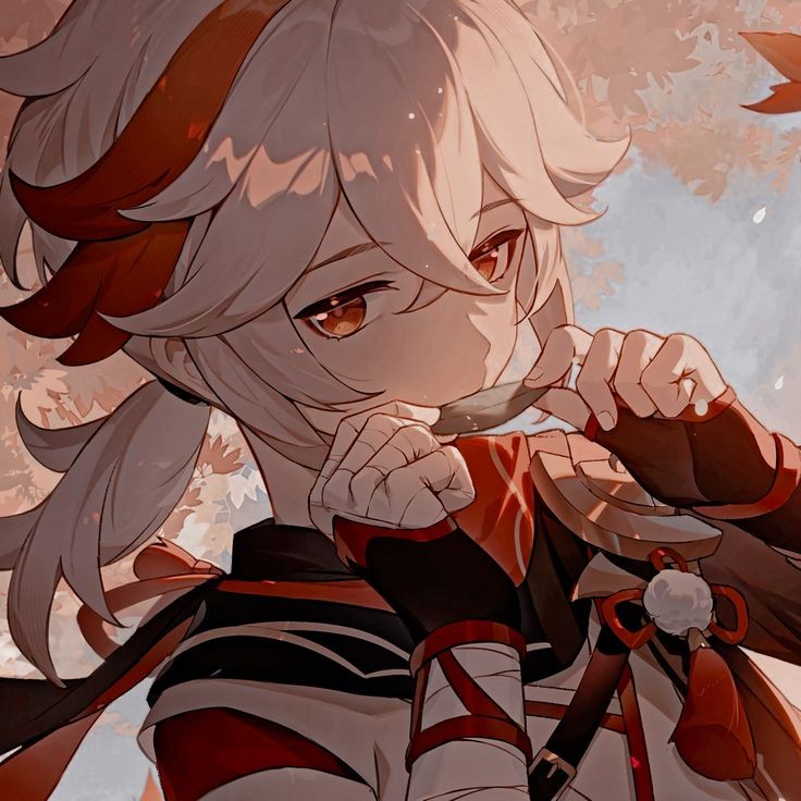 Кадзуха Genshin Impact | HoYoLAB