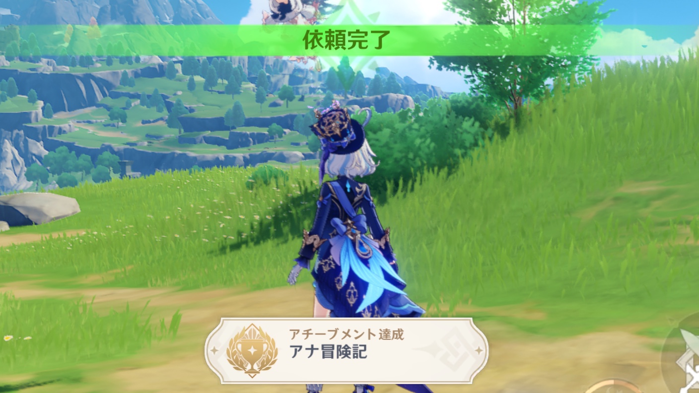 アナ　冒険　風　ウイッグ【購入後1日2日で発送】 アナ冒険風ウイッグ【購入後1日2日で発送】