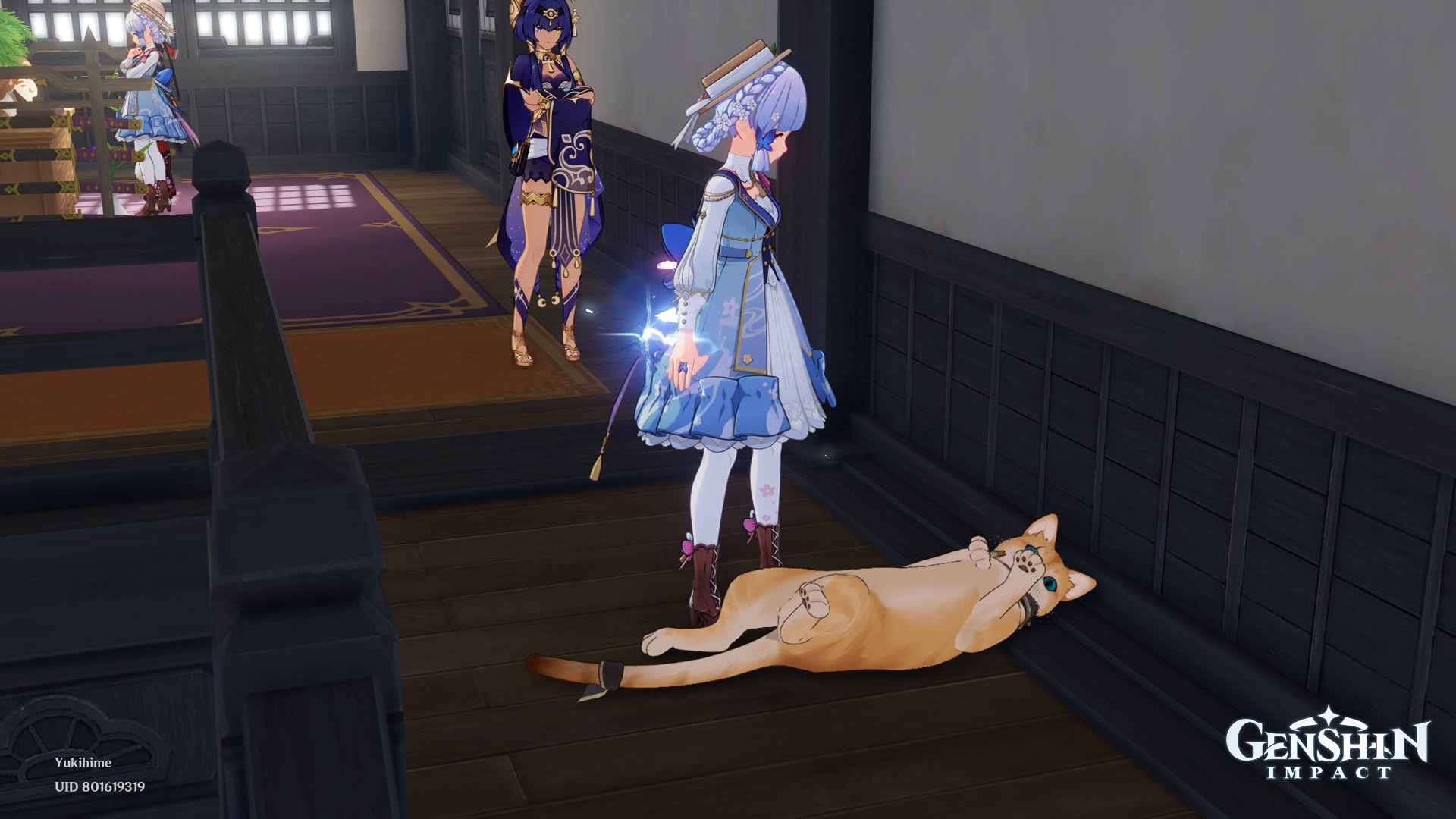Ayaka greeting a new cat into her house Genshin Impact | HoYoLAB