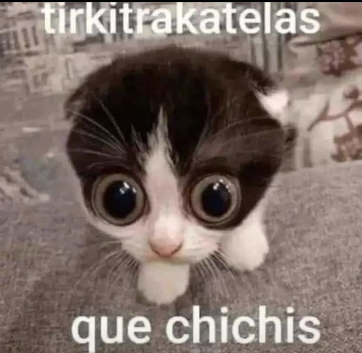 Mamis de genchin 🥵🥵 Genshin Impact HoYoLAB