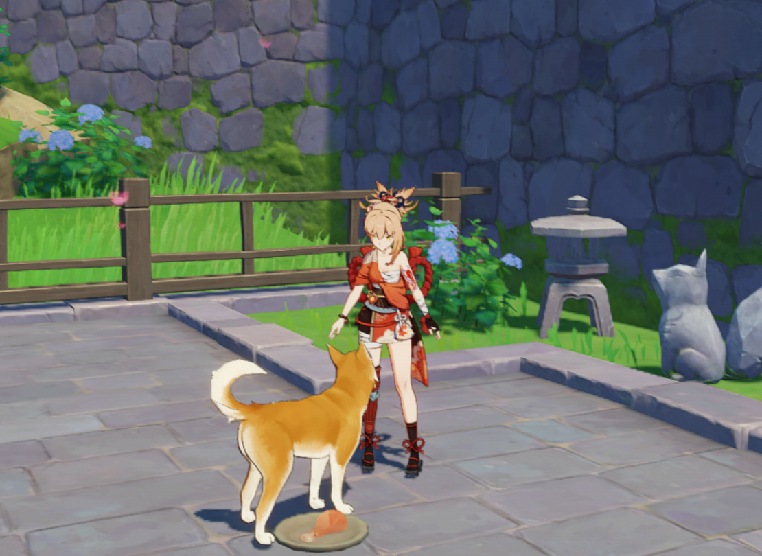 Always feed the puppy! Genshin Impact HoYoLAB