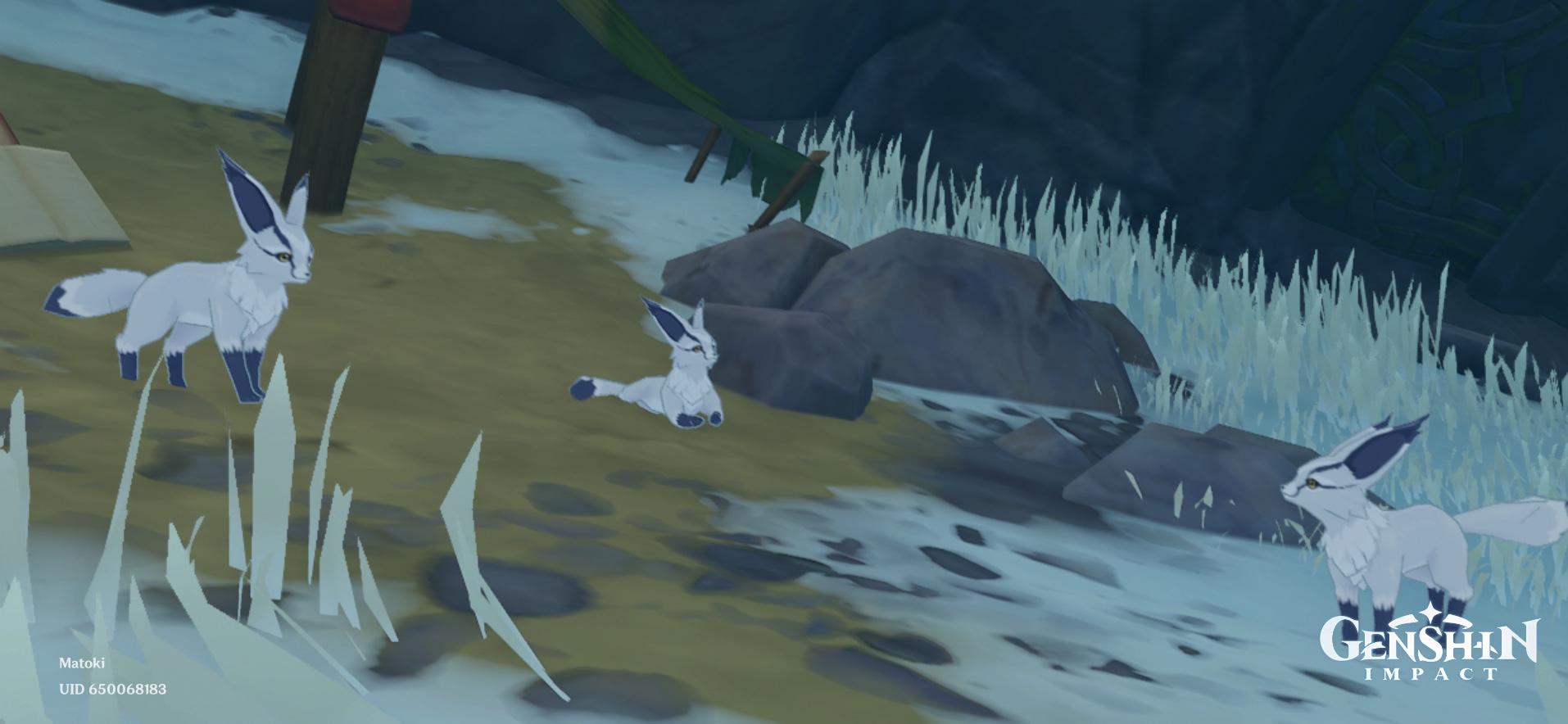 Dragonspine Fox Achievement! Genshin Impact HoYoLAB