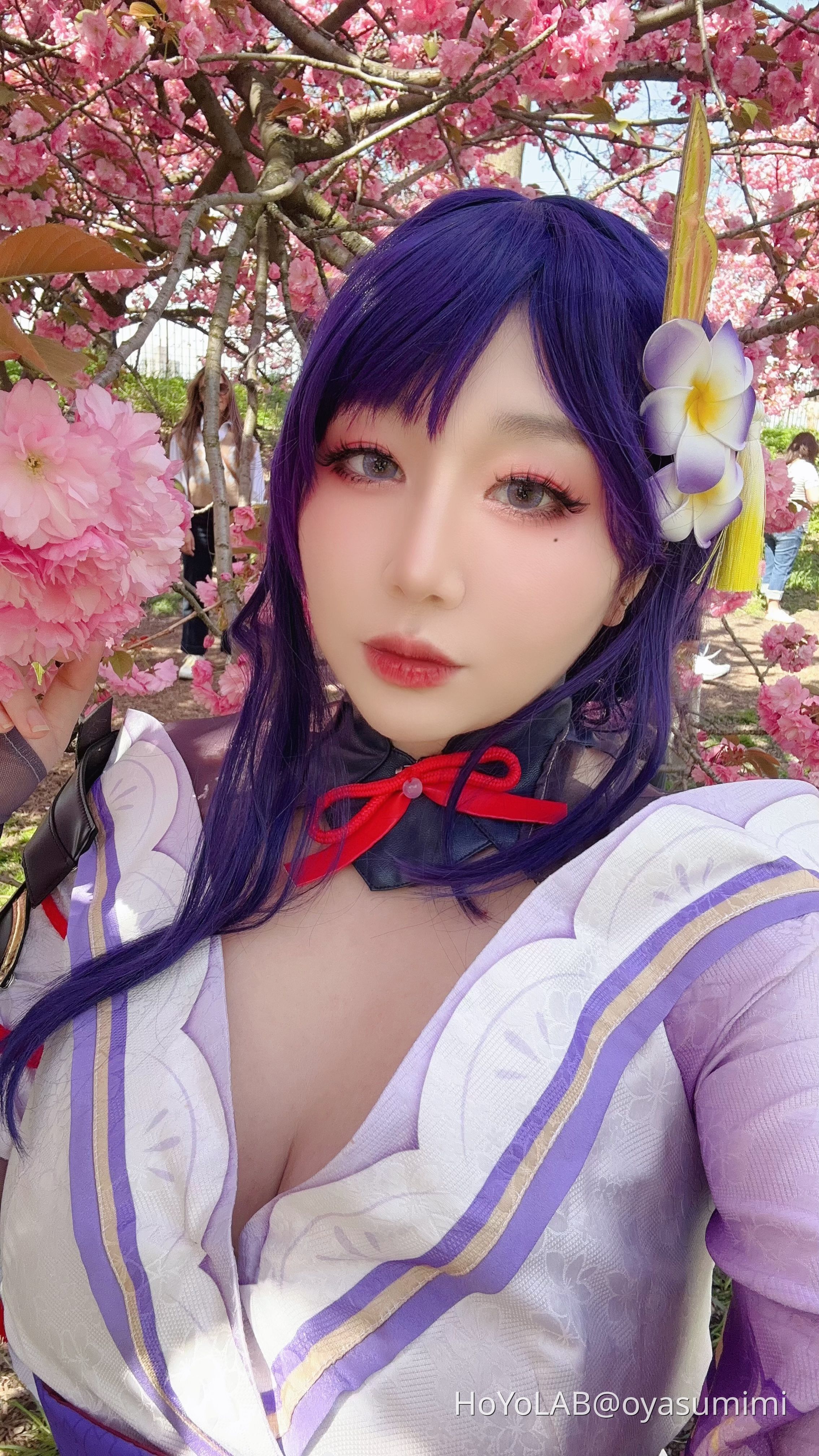 cherry-blossom-viewing-with-raiden-shogun-genshin-impact-hoyolab