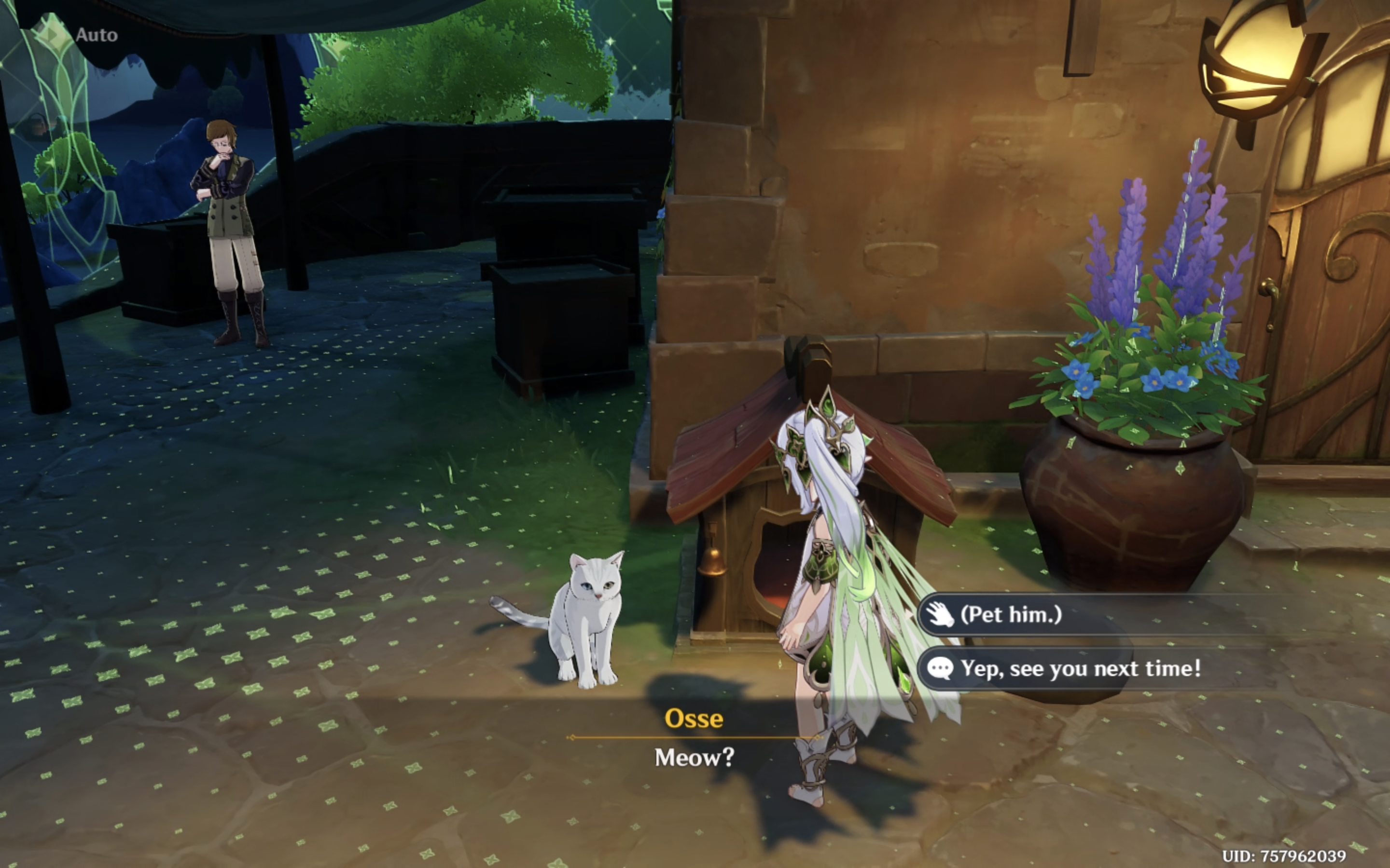 WE CAN PET A CAT FINALLYYY Genshin Impact | HoYoLAB