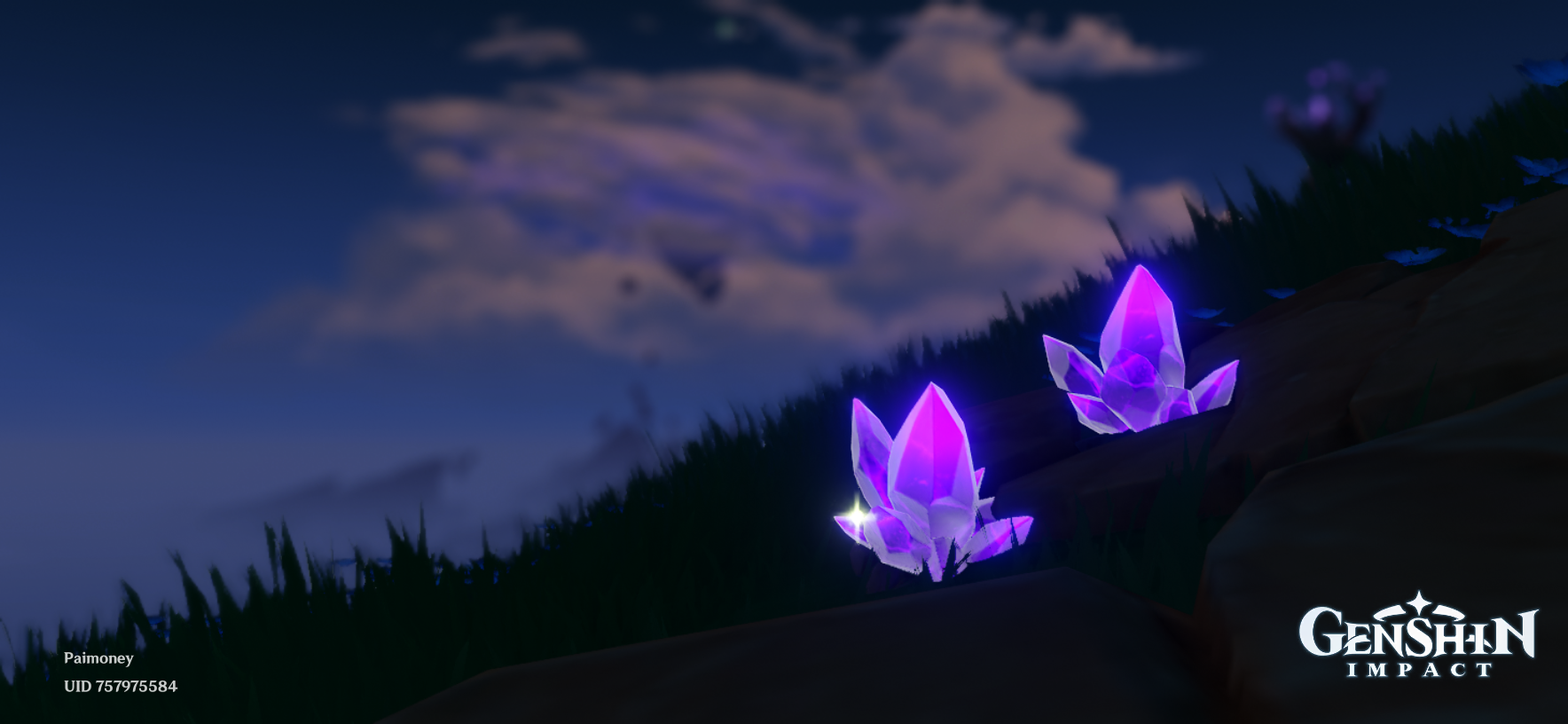 Purple Teyvat Genshin Impact | HoYoLAB