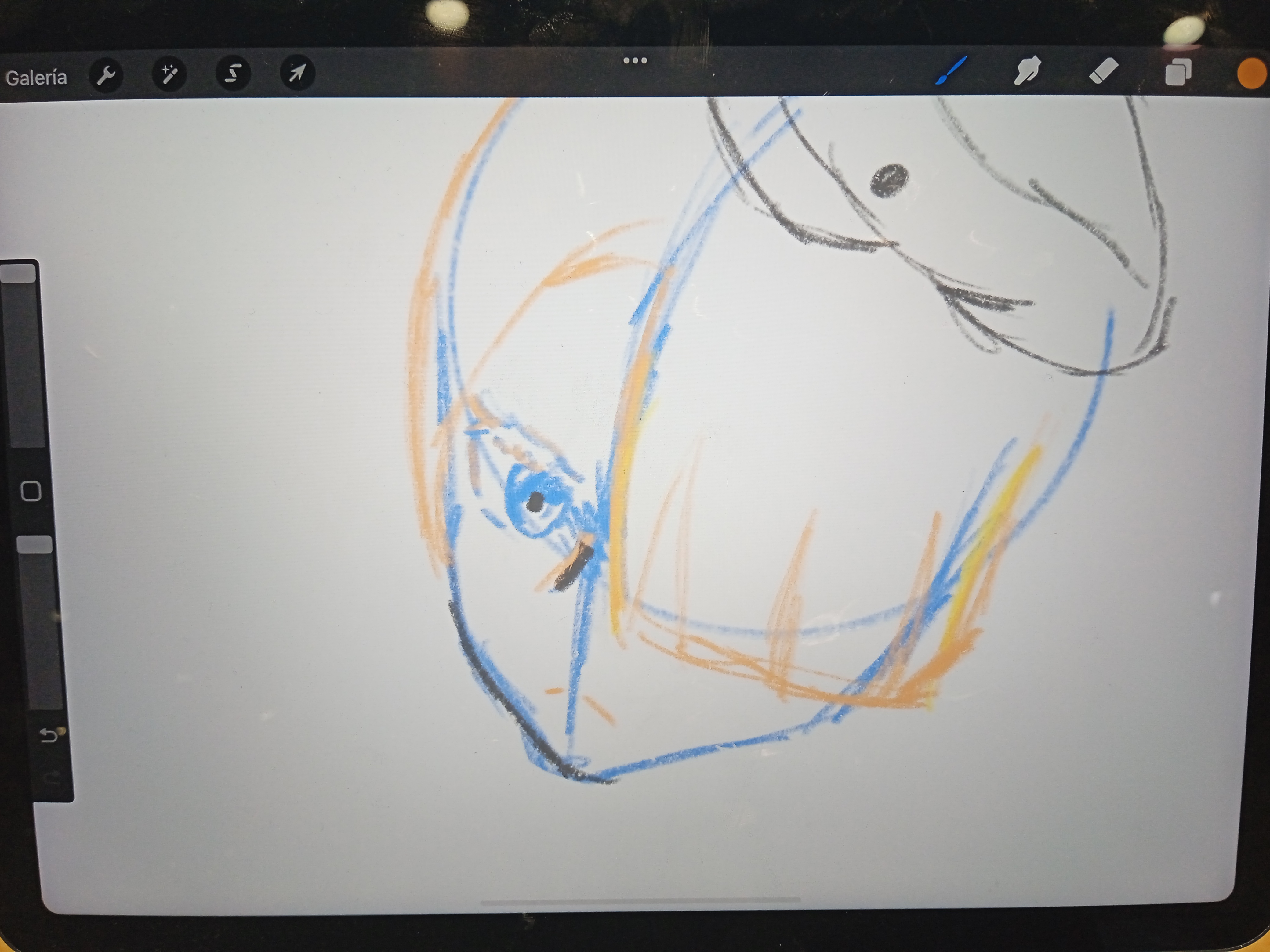 Not much, just an unfinished Freminet sketch I did on an iPad at a ...