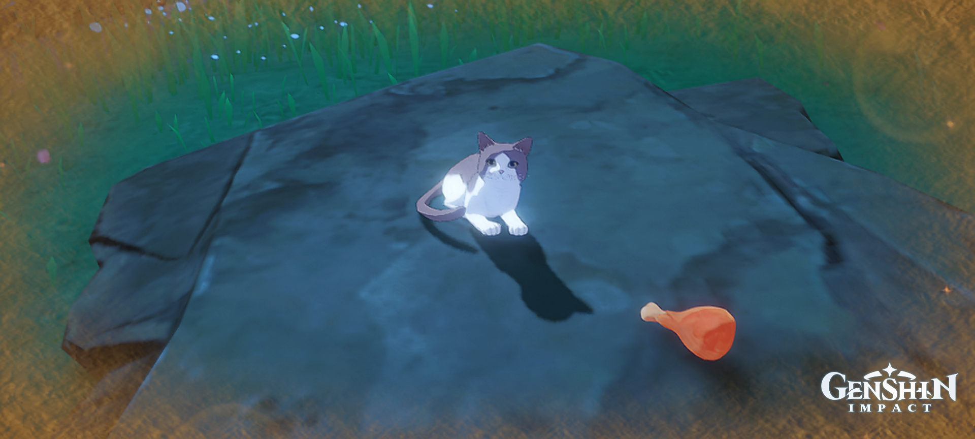 genshin cats are so cute! Genshin Impact | HoYoLAB