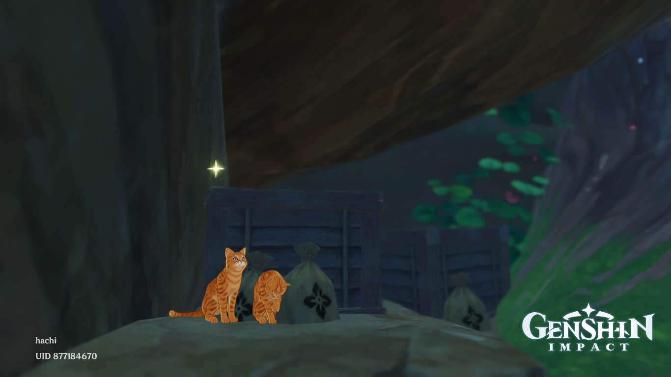 cats in asase island Genshin Impact | HoYoLAB