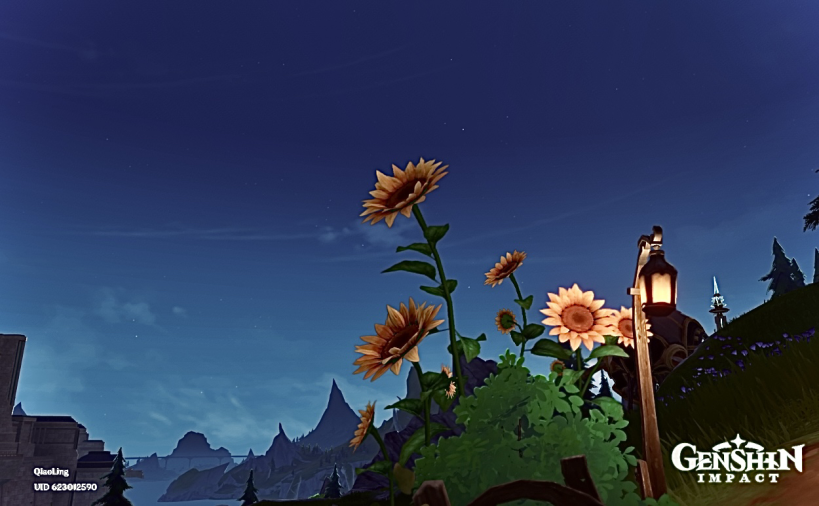 sunflowers-genshin-impact-hoyolab