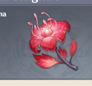 am I seeing things or these flowers are kind of similar...? Genshin ...