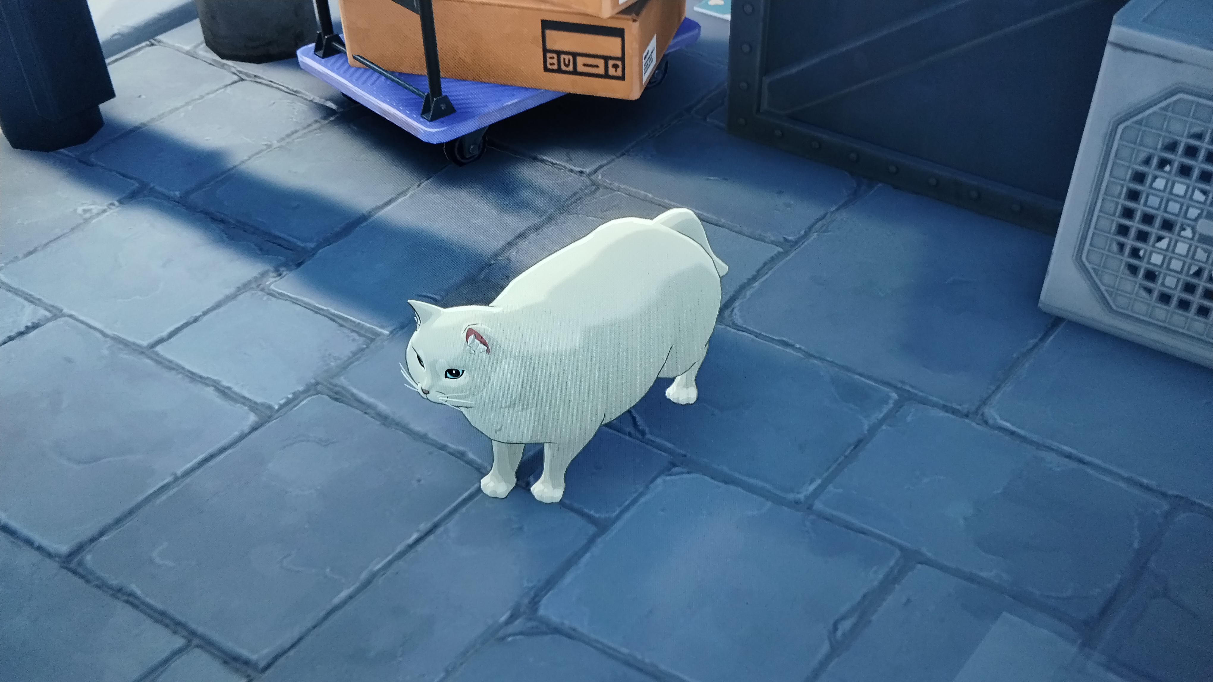 litty fat kitty Zenless Zone Zero | HoYoLAB