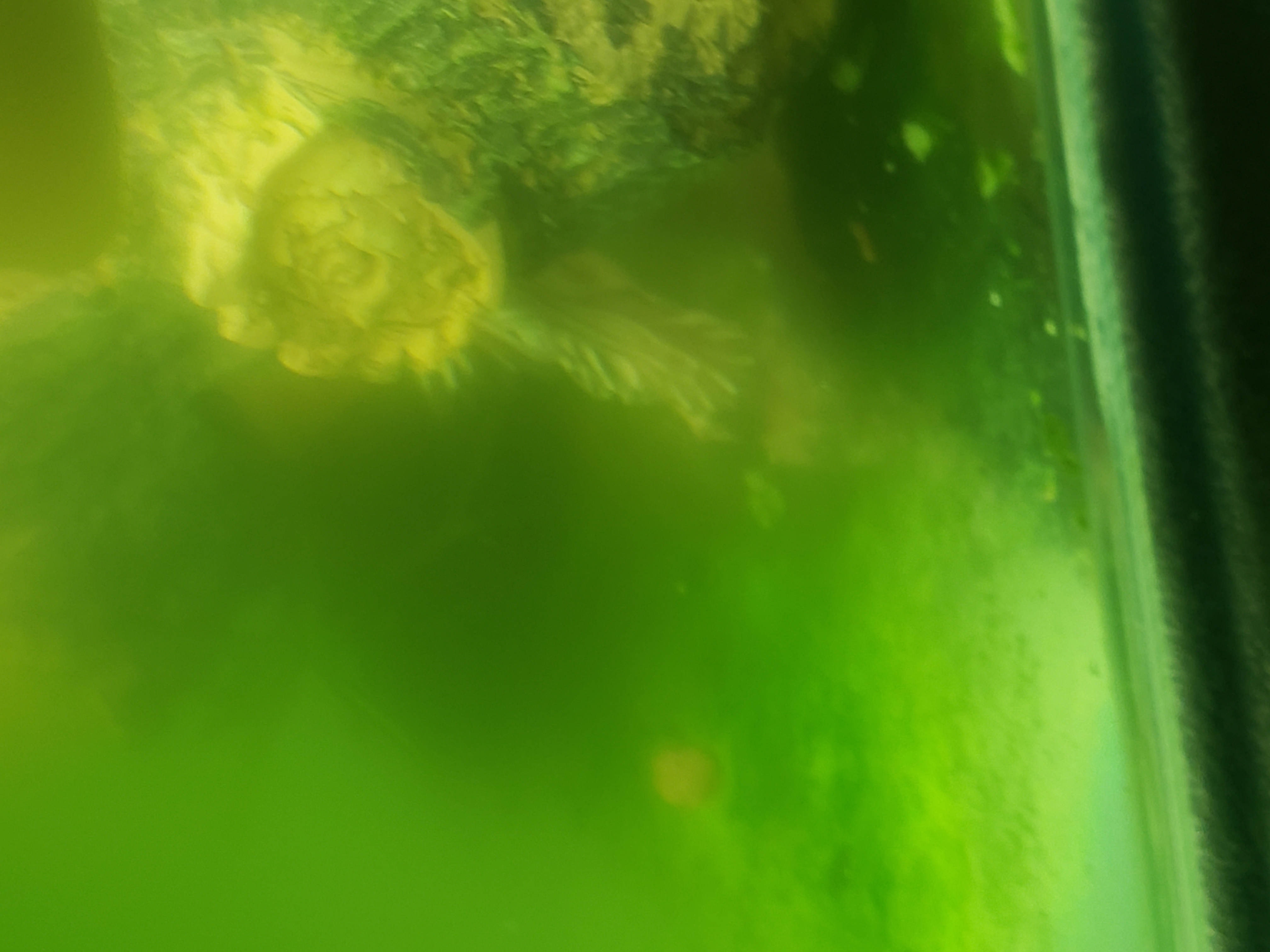 my-baby-will-have-to-leave-to-the-garage-while-in-the-baby-making