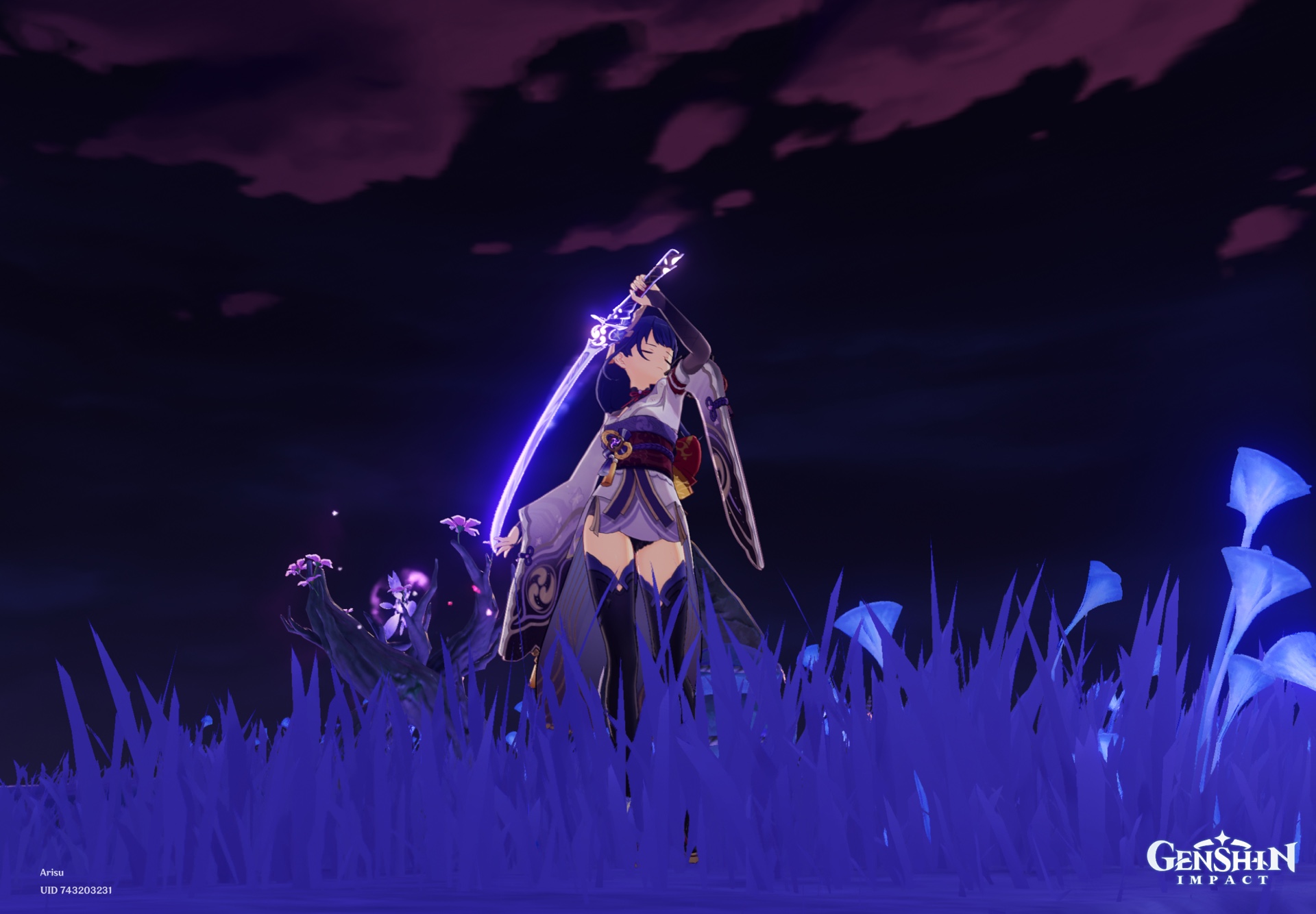 10枚 GENiS SHINKA Inazumask ジェニス イナズマスク GENIS Inazumask 5回分入り : PositivoRegalo