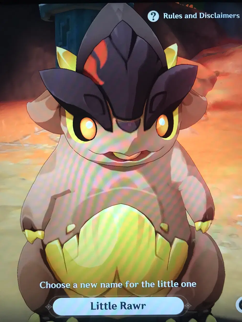 What should I name this little guy Genshin Impact | HoYoLAB