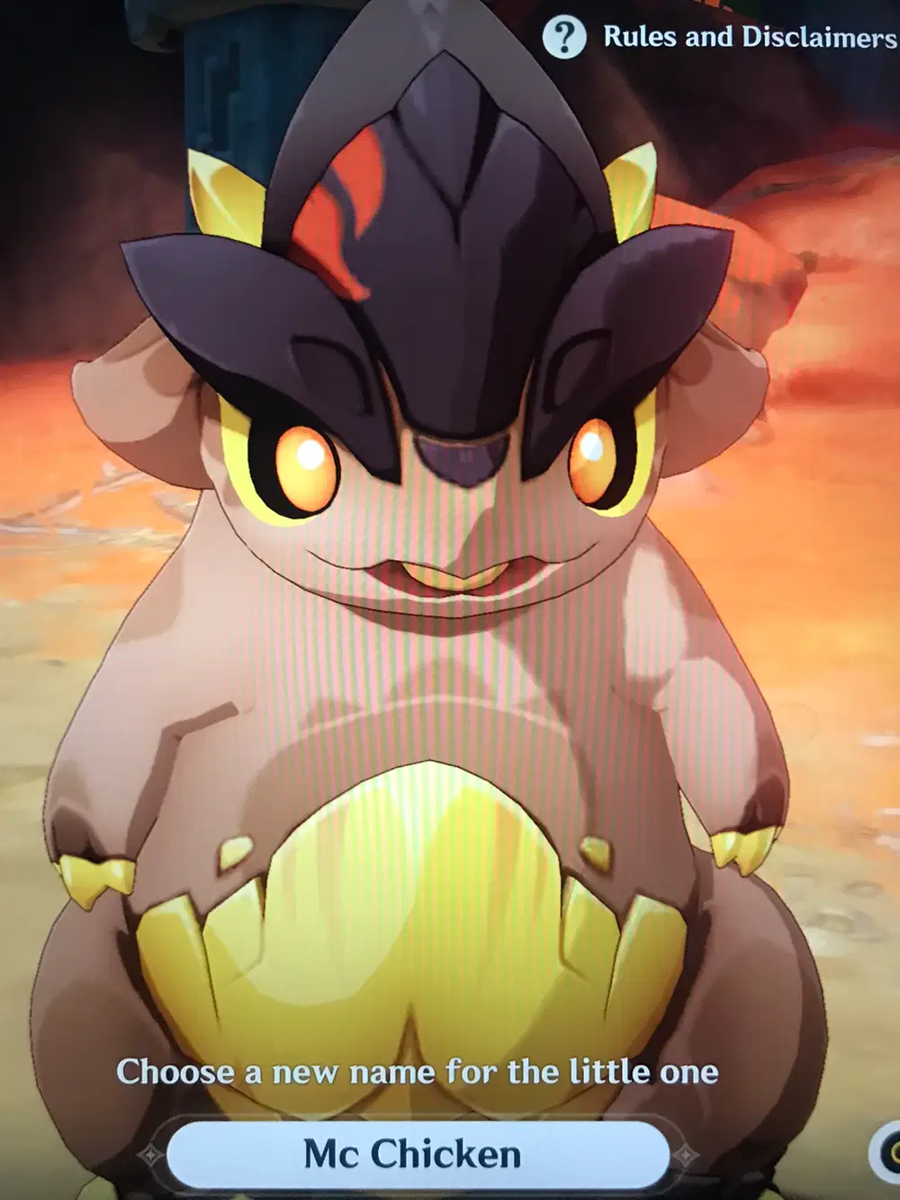 What should I name this little guy Genshin Impact | HoYoLAB