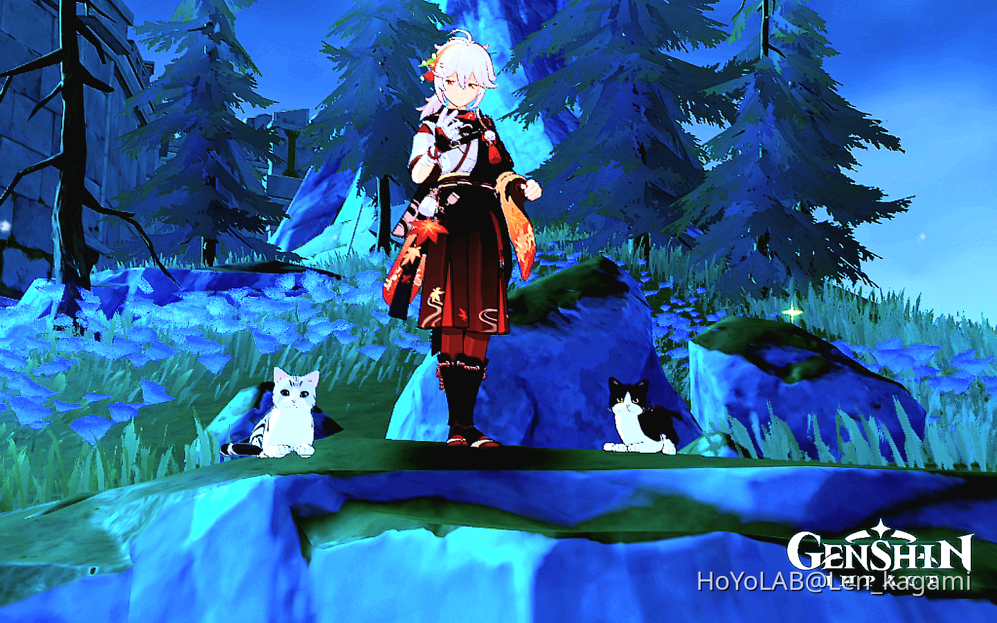Cats Genshin Impact | HoYoLAB