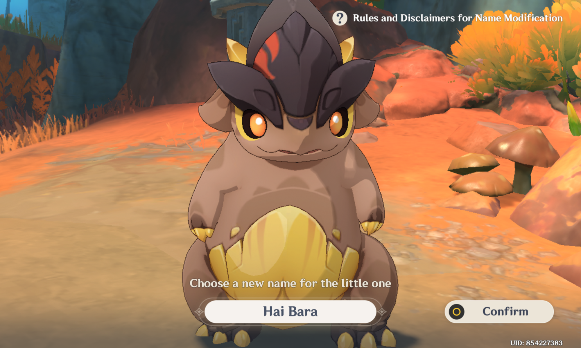 naming-the-little-guy-genshin-impact-hoyolab