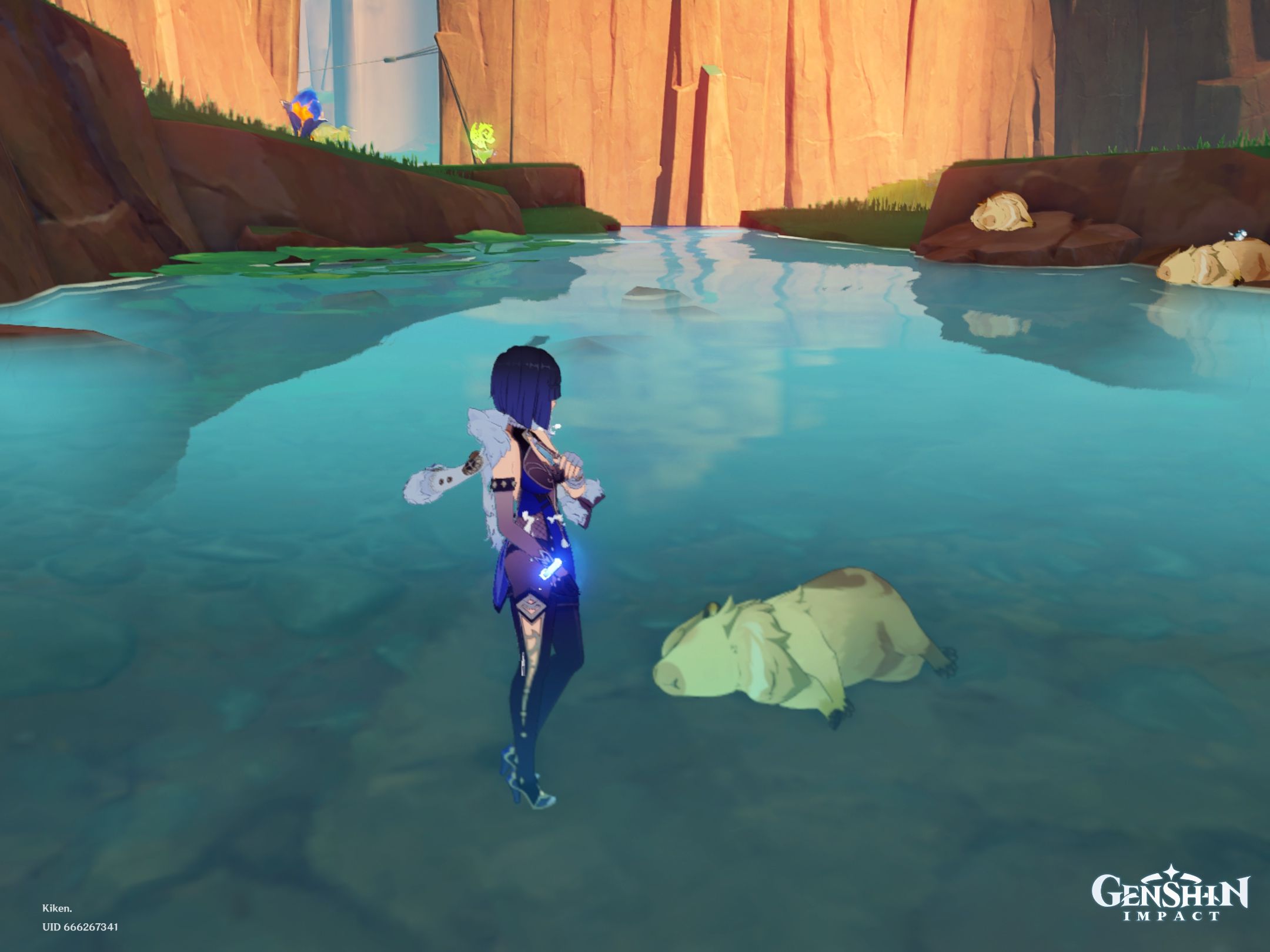 how-is-bro-sleeping-underwater-genshin-impact-hoyolab