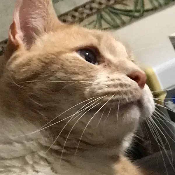 People need to understand high functioning autistic people can develop