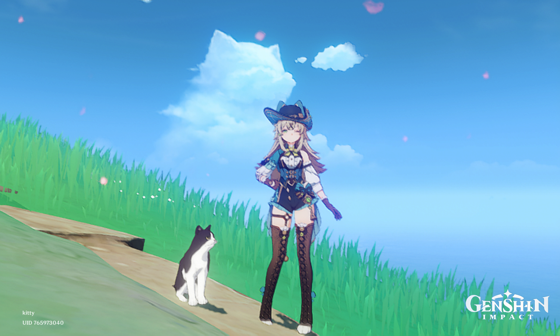Two cats meeting each other's 🐱 Genshin Impact | HoYoLAB