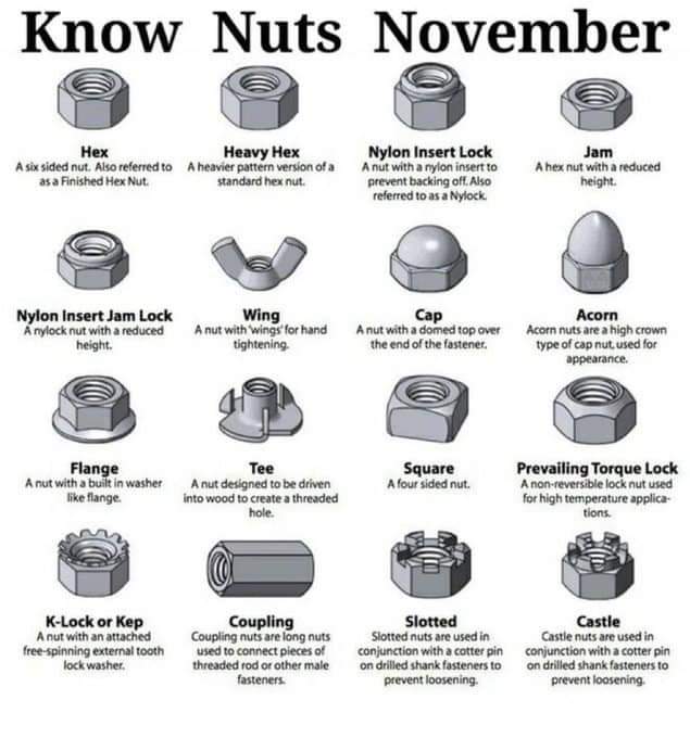 Know nut november hoyolab