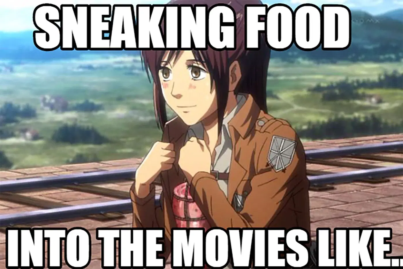 AOT memes~ Genshin Impact | HoYoLAB, image size:1400x933