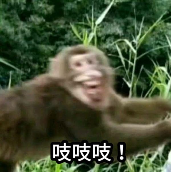 浅羽悠真 ポップアップ 特典 淺羽悠真同人乙女: 我想活下去（1） Zenless Zone Zero | HoYoLAB