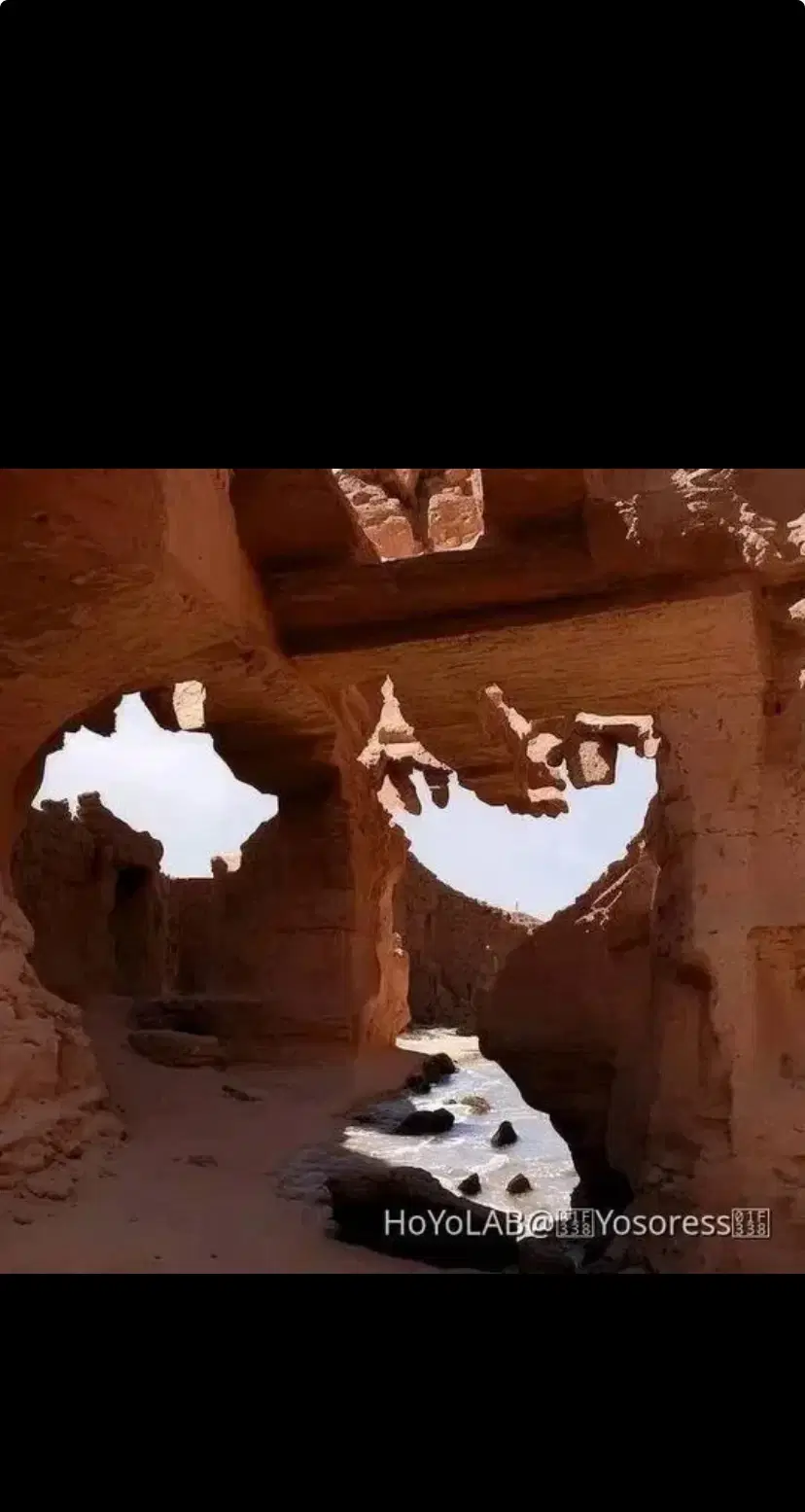 Roof Safety Tips + Fine Info - Isla Vista Community Services District, image size:828x1555