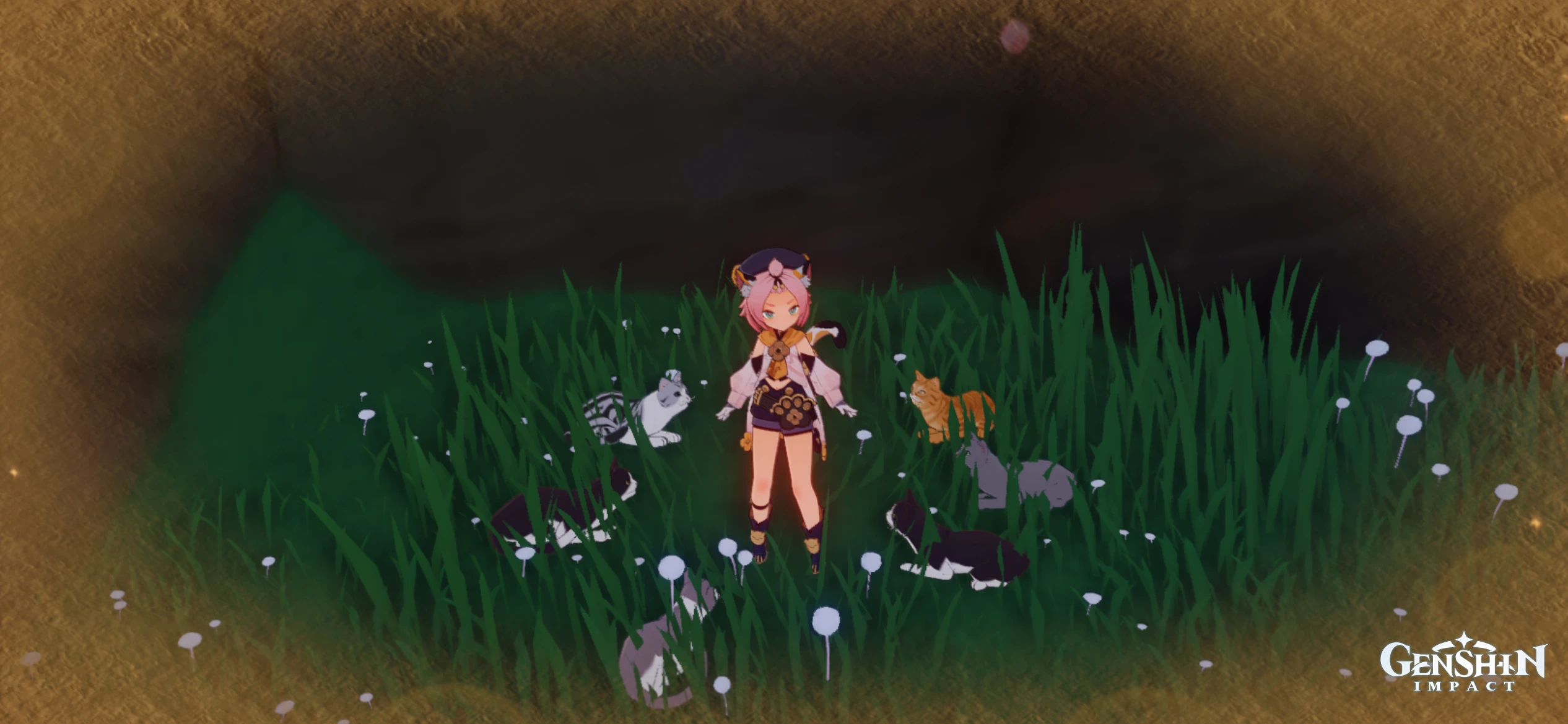 Kitty Ritual Genshin Impact | HoYoLAB