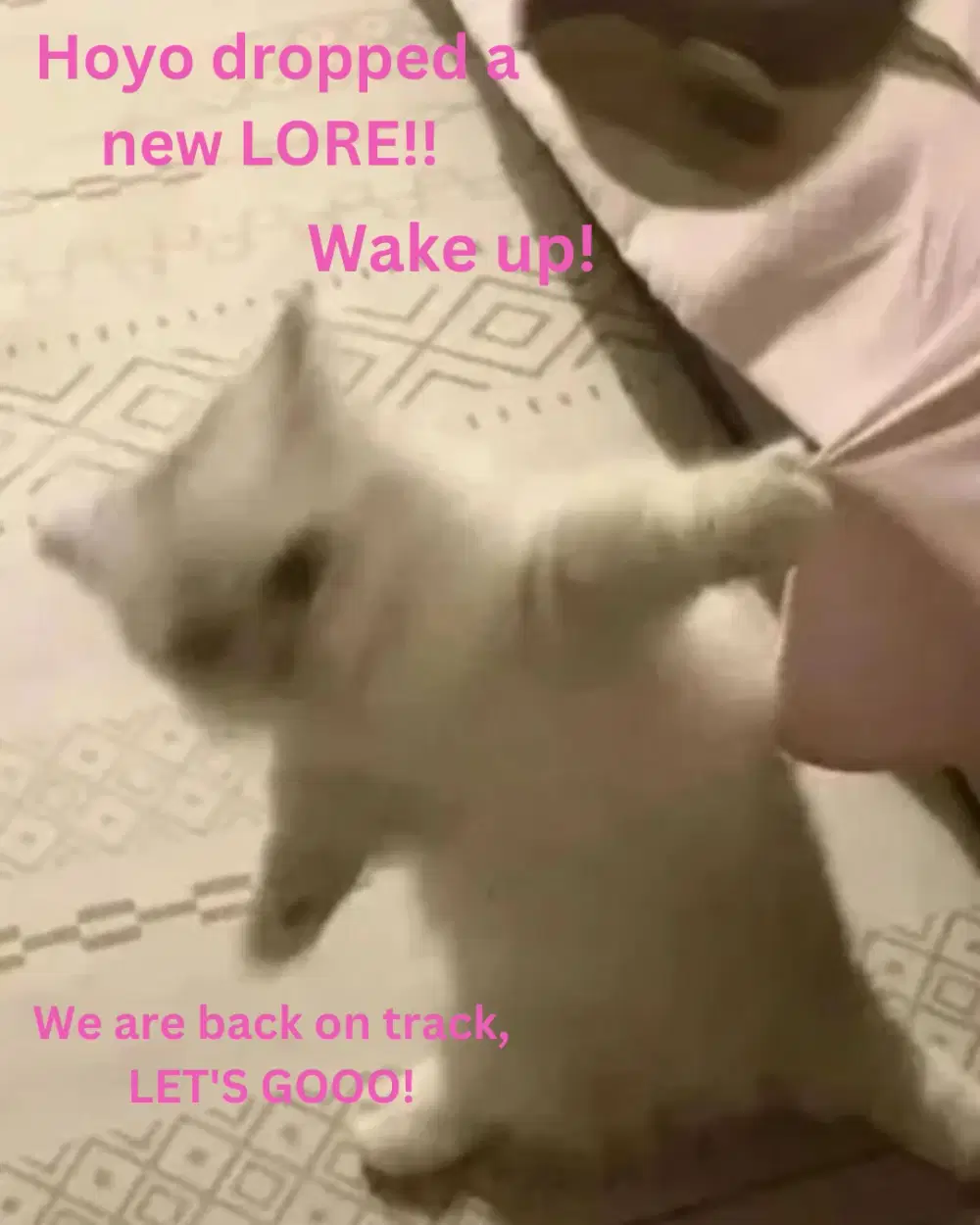 Marvel the Cat. Autumn Dreams | Story.com, image size:1000x1250