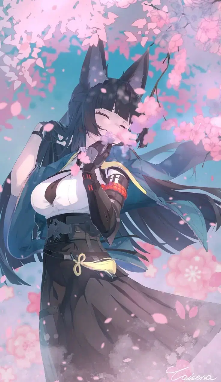 Miyabi with Cherry Blossoms Zenless Zone Zero | HoYoLAB