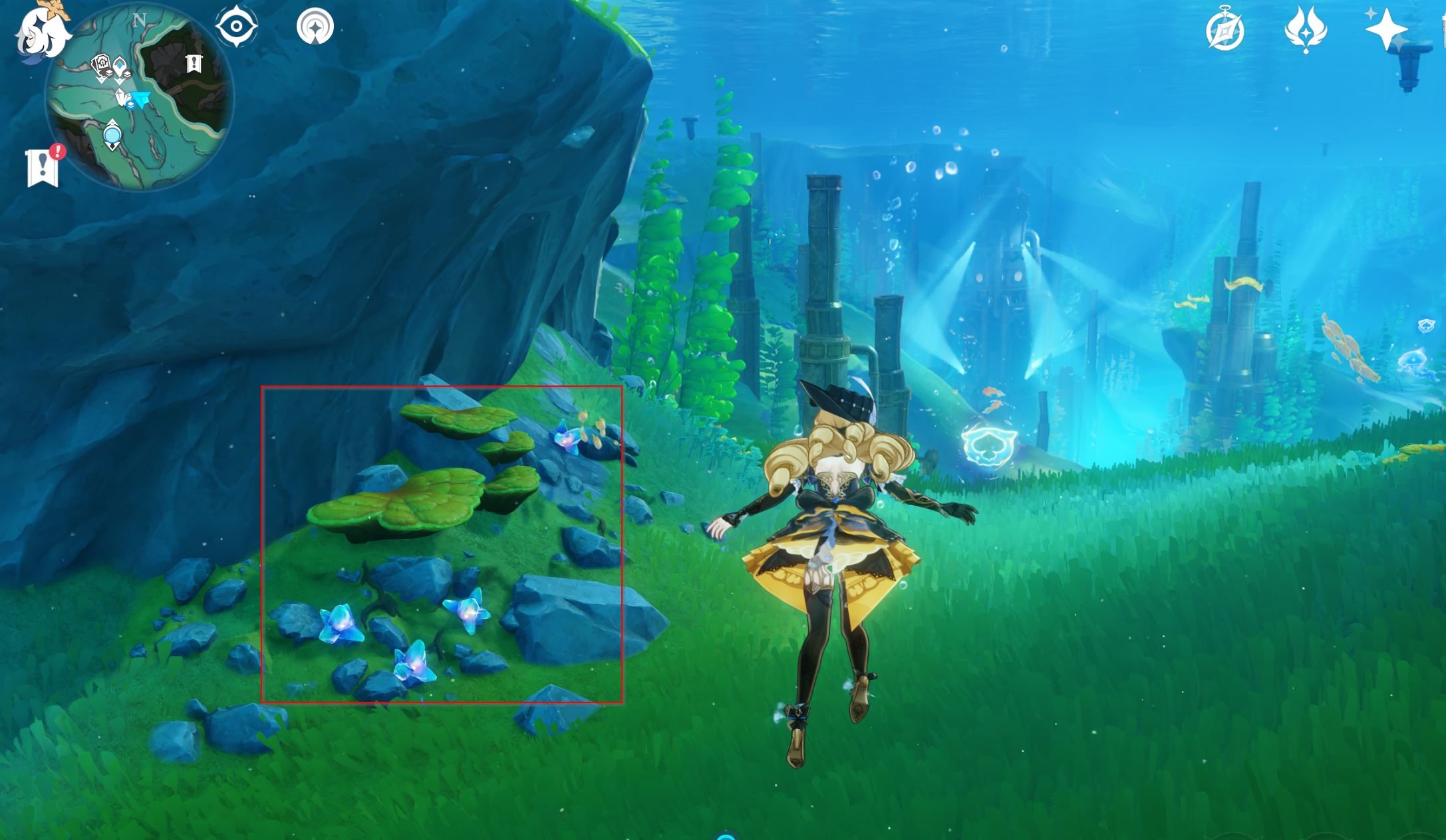 Condessence Stream Genshin Impact | HoYoLAB