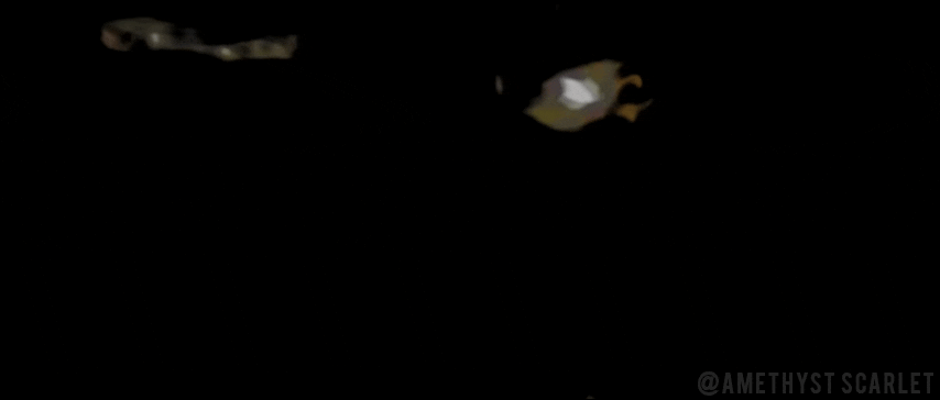 2aa9e1d413672c39d6e704cbe4b470b4_5331772082455495656.gif