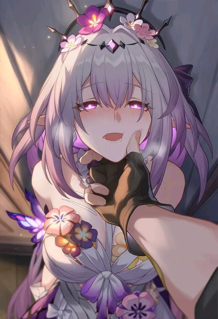 遐蝶 Honkai: Star Rail | HoYoLAB 遐蝶 Honkai: Star Rail | HoYoLAB