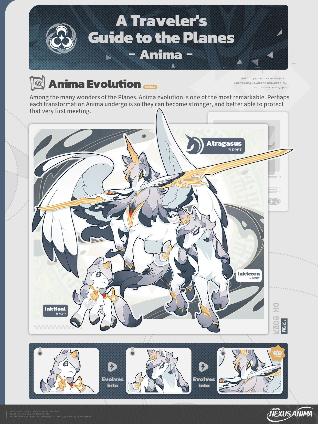 Anima Evolution — official infographic