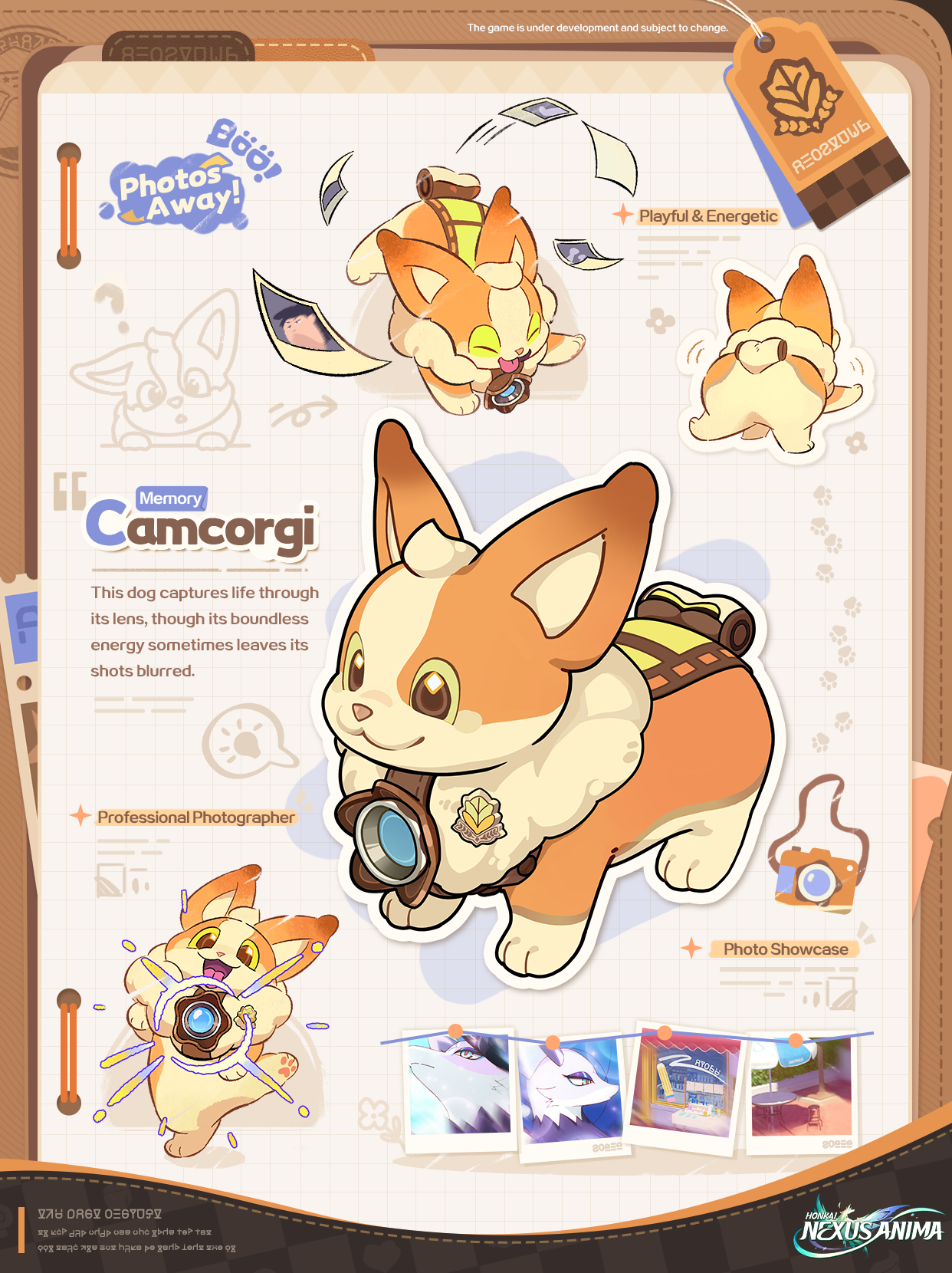 Camcorgi — official Anidex card